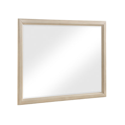 Cotterill Collection