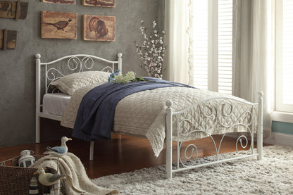 Pallina Collection