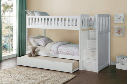Orion Collection
