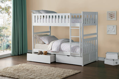 Orion Collection