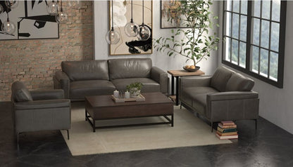 Stella Collection