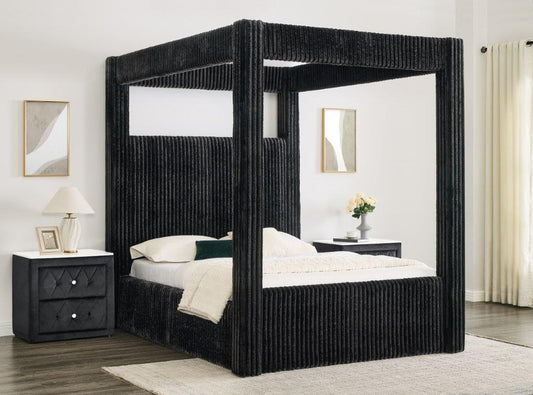 Carla Collection – main product image