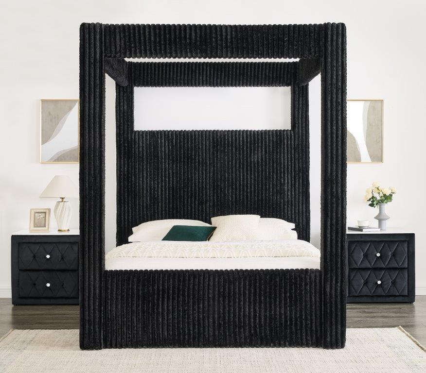 Carla Collection