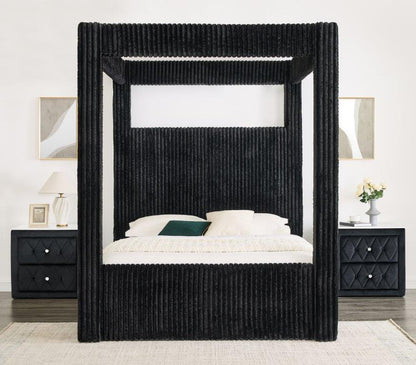 Carla Collection