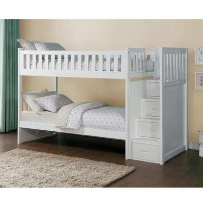 Orion Collection