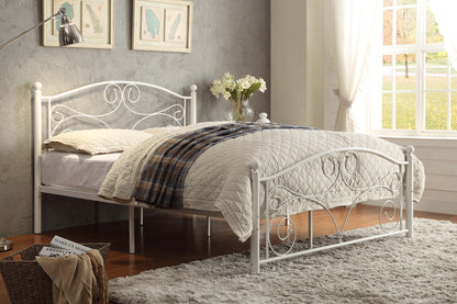 Pallina Collection