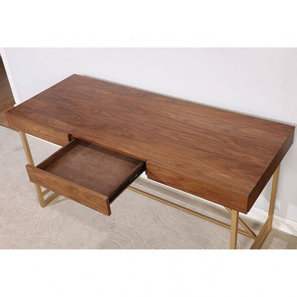 Halstein Collection