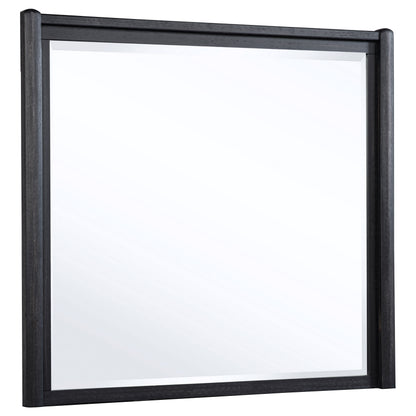 Leandro dresser mirror in burnished black
