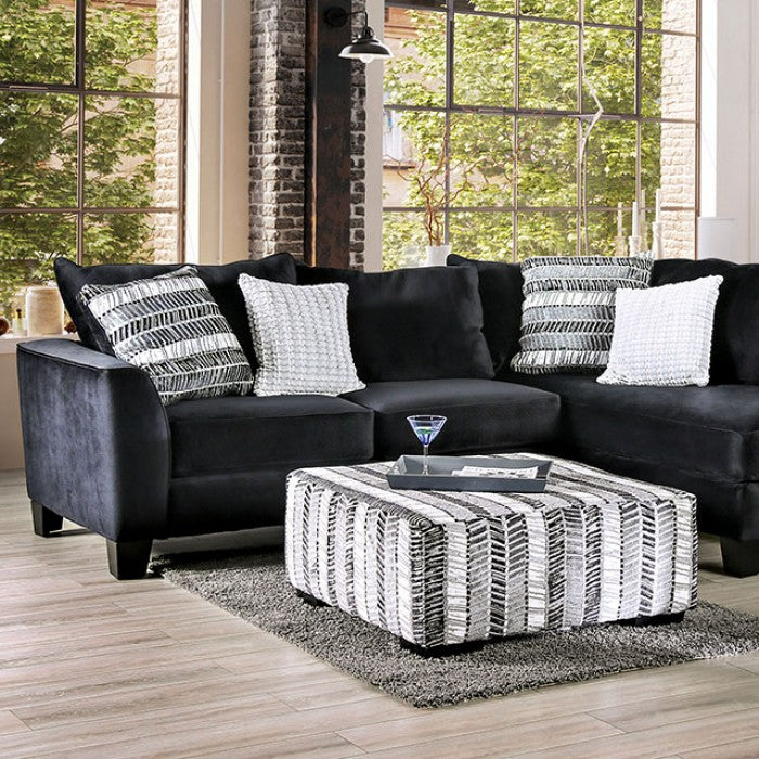 Modbury Collection