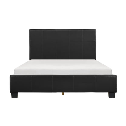 Lorenzi Collection